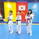 삼성유아태권도 이미지