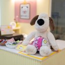 뭉티의 하루 이미지