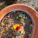 영덕여자중학교 이미지