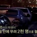 다큐스토리 Daum카페