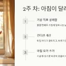 독(DOG)도 | 요가 앱 2주 후기! 수면의 질 이렇게까지 달라질 줄이야?