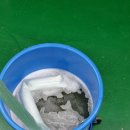 완도읍-4 이미지