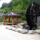 삼척산양농산촌체험마을 이미지