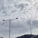 엠씨웍스 이미지