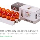광원인쇄 | 소나타 방향지시등 깜박이 전구교체 후기