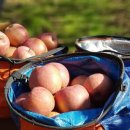 농부의밥상 이미지