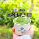 뮤지엄엔카페테리아 | 제주 오설록 티뮤지엄 녹차밭 티코스 카페 수국까지 제주도 서쪽 가볼만한곳