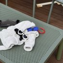 사시장청 | [합천 사시장청(四時長靑)] 애견동반 독채 펜션 - 초코와 함께 떠난 가족여행 !