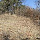 간송문집 및 금라전신록책판 이미지