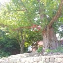 도내2리 이미지