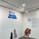 재단법인 광명문화재단 이미지