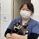 그루밍시즌 이미지