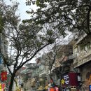 관저성 | 볼만한곳 추천 리스트(호안끼엠호수,못꼿사원(일주사),호치민묘소,관저,쩐꾸옥사원,성요셉대성당,하롱베이)