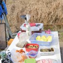 해나비농장 이미지