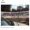 이난이 이미지