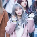 거보 이미지