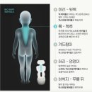 메르디안세탁 | 폴레드 에어러브4 도넛 롤리팝 비교 내돈내산 한 달 사용 꼼꼼 후기 : 줄즈 에어플러스 사용샷 폴딩