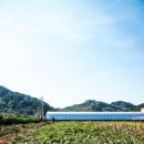 안포씨마을 이미지