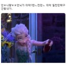 다맥 이미지