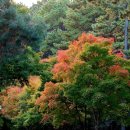 서귀포시노인복지회관 이미지