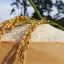 정이농장 이미지