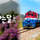 (여행) "3월, 3만원으로 '갓성비' 여행가는 법!"...21개 소도시 기차여행 저렴하게 다녀오기 이미지