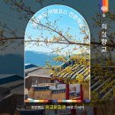 강서구 마을공동체 사랑방 강의실 | 경북 의성향교 유교문화권 산수유와 함께 즐길수 있는 가볼만한곳