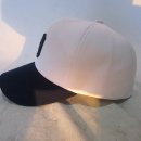 로이즈 이미지