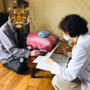 어등경로당 이미지