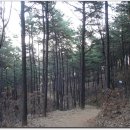 가리대광장 이미지