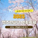 서울 벚꽃축제 렛츠런파크 비오는 식목일에 다녀온 후기