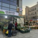 [군자 야키도리모모] 군자역 술집 사시미 가성비 맛집 후기