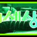 케이티 태백지점 이미지