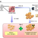 코오롱생명과학-주가급락의 진실.지금 긴급정보 이미지