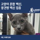 리온동물병원 이미지