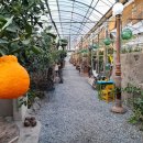 한달음한의원 이미지