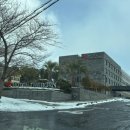 탐라메밀본가 | 제주 서귀포 중문 숙소 추천 더본호텔 디럭스 트리플 룸, 조식 탐모라, 빽다방 빵연구소 세세한 후기