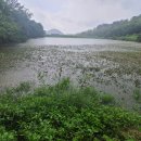 갈전소류지 이미지