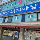 박혜자 낙지마당 이미지