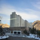 새이조식당 | 노랑풍선 일본 패키지여행 / 홋카이도(북해도) 삿포로 / 죠잔케이 뷰 호텔 숙박 후기🤗