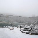 신구대학교 식물원 갤러리 우촌 이미지