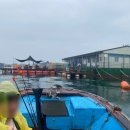 순정좌대 이미지