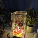 청명주유소 이미지