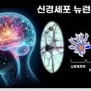 와이즈케어