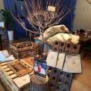 세군다까사 이미지