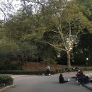 [뉴욕 혼자여행하기] 뉴욕 센트럴파크, 워싱턴스퀘어 파크, 뉴욕 macy&#39;s, 뉴욕쿠키