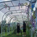 카페 해시목 이미지