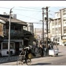 본동정육점