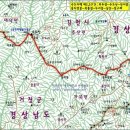 단지봉