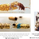 이랑바이오 이미지